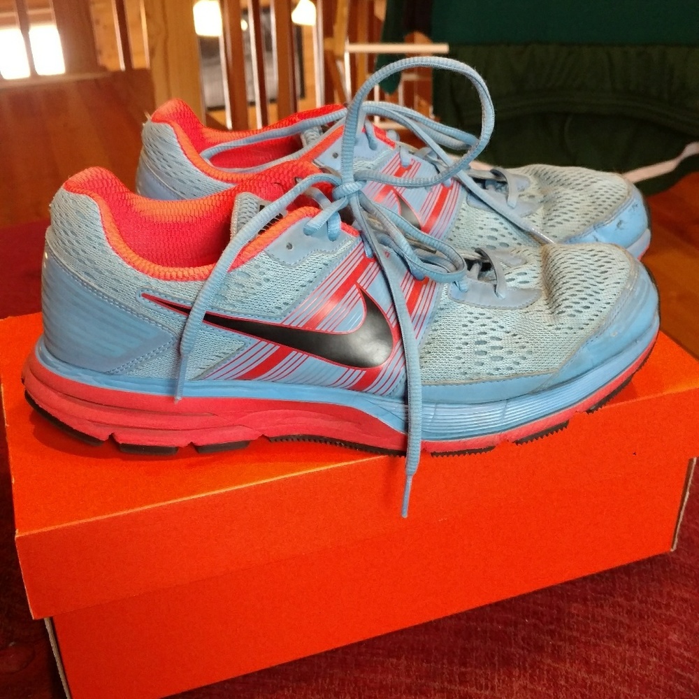 Nike Pegasus 29 running shoes